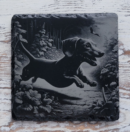 Dachshund Outside Fun Slate Coaster