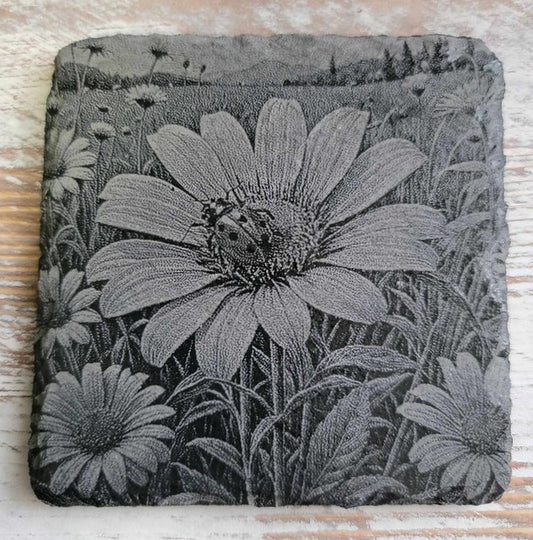 Ladybug Perched On A Daisy Black Slate Coaster