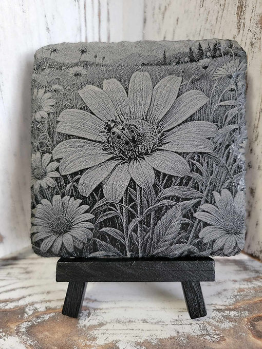 Ladybug Perched On A Daisy Black Slate Coaster