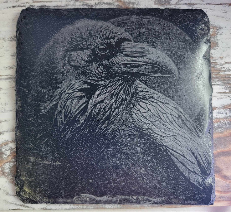 Mysterious American Crow