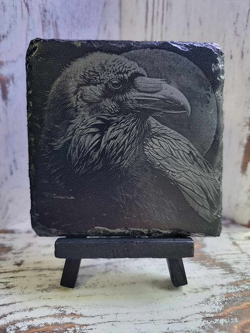 Mysterious American Crow