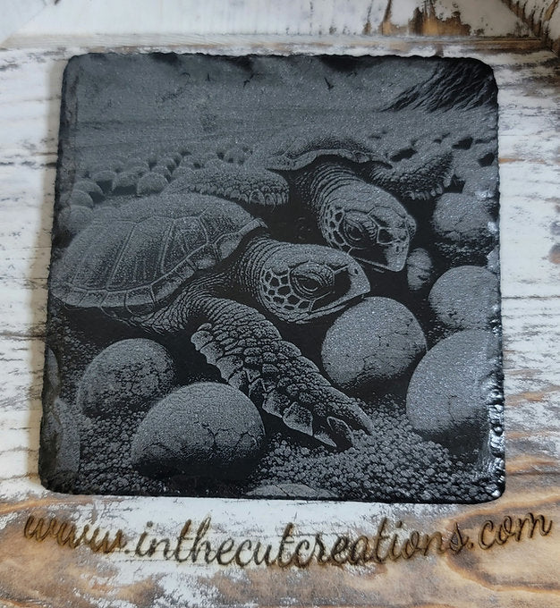 Sea Turtles And The Circle OF Life