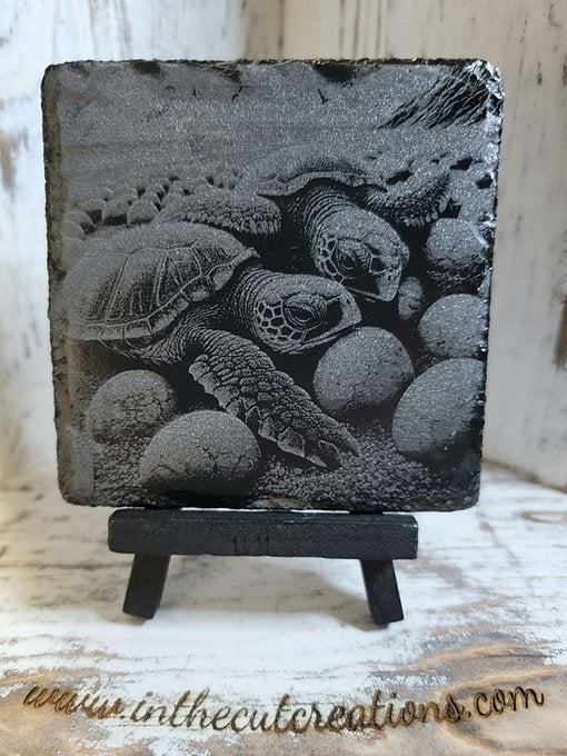 Sea Turtles And The Circle OF Life
