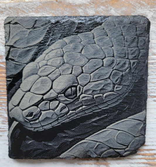 Slithering Snake Close Up