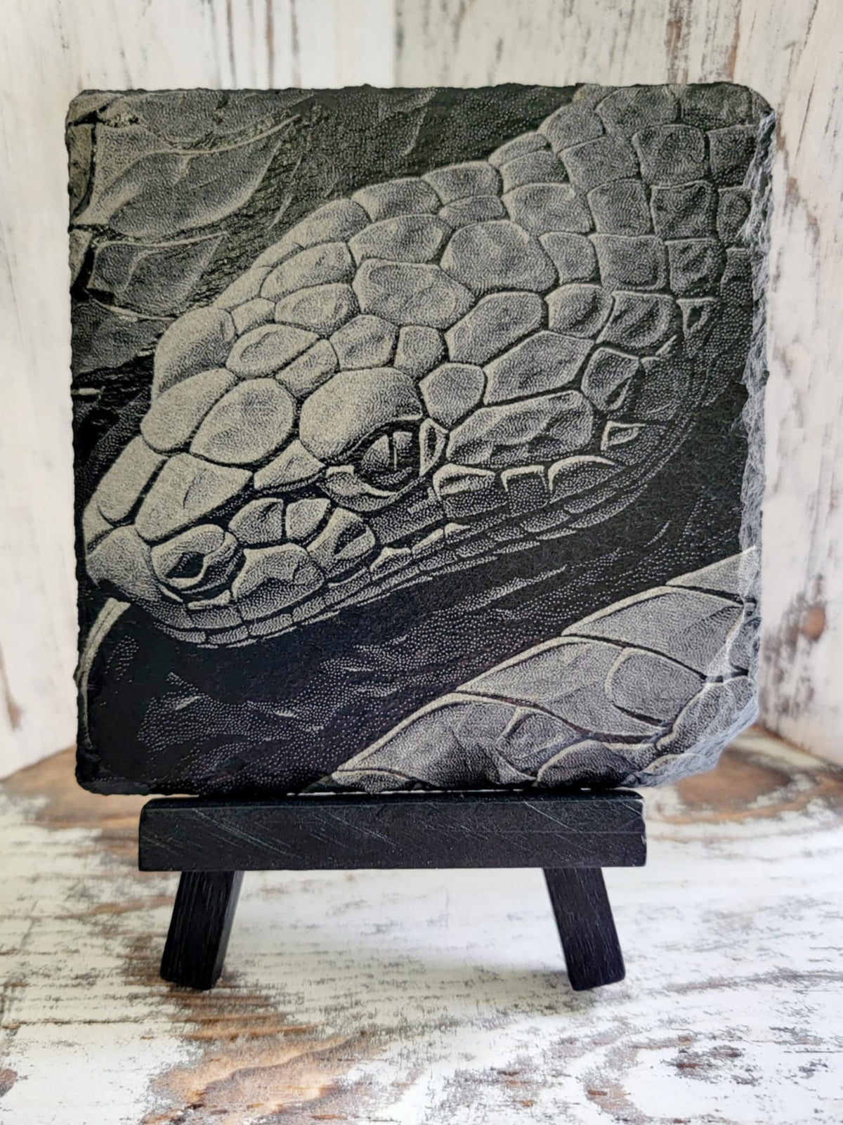 Slithering Snake Close Up